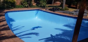 Pool Butlers Renovation